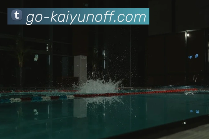 开云2026入口平台生态图